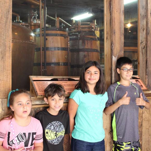 Meet your Posher, Rose - Picture 1 of 1